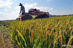 阿里遭遇“中年阵痛”